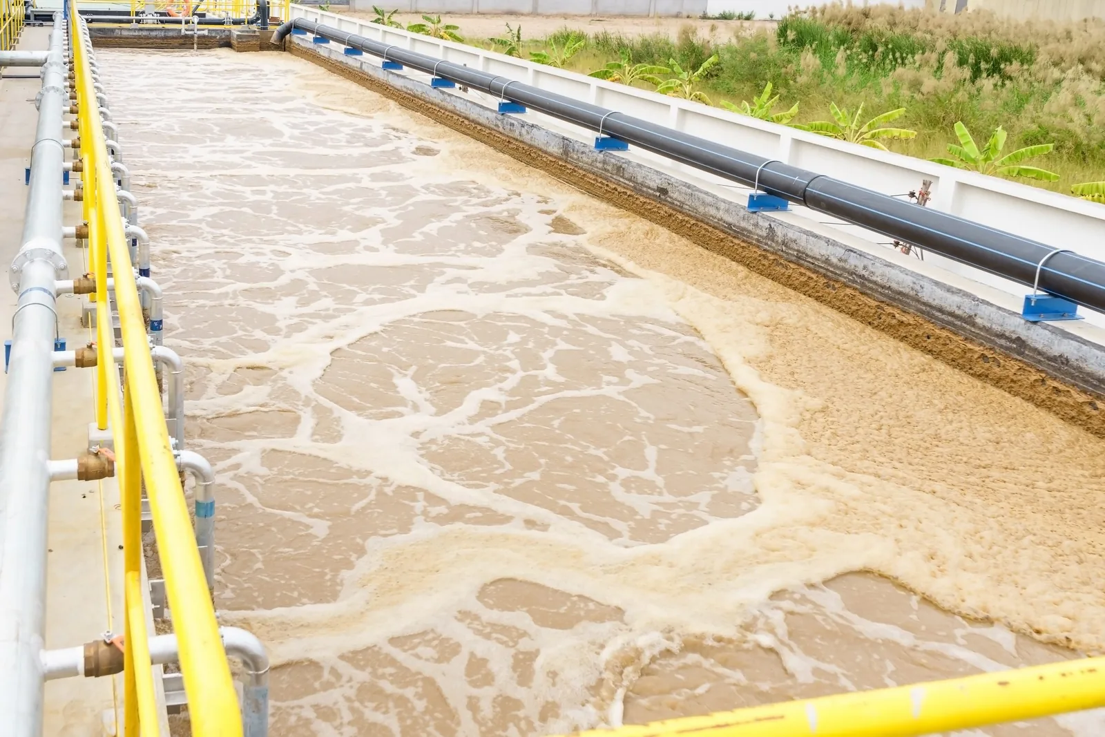 Semarang City Treatment Plant — Sludge dewatering